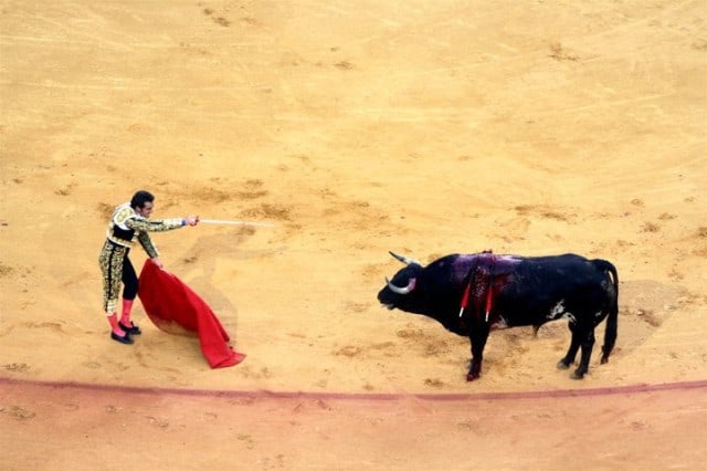 bullfighting in spain