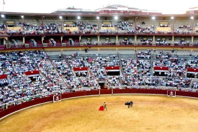 bullfighting in spain