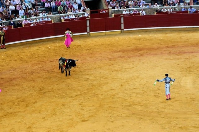 bullfighting in spain