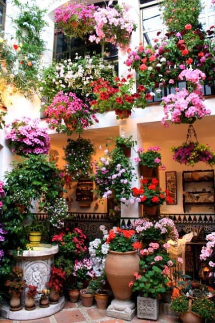 things to do in cordoba spain