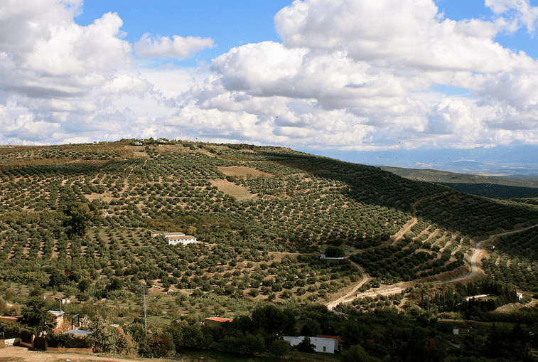 jaen spain