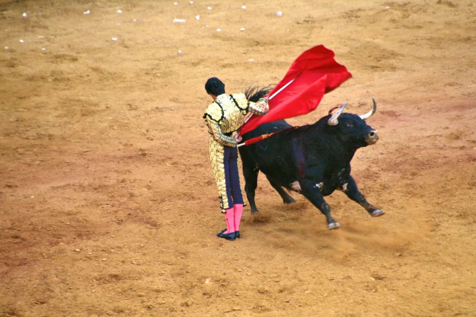 recortadores bullfighting spain