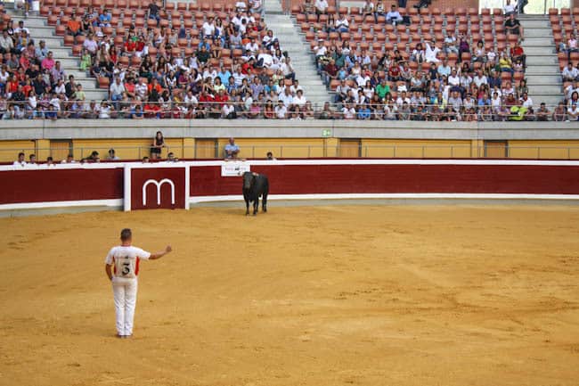 recortadores bullfighting spain