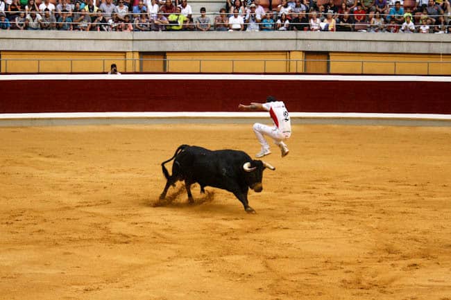 recortadores bullfighting spain