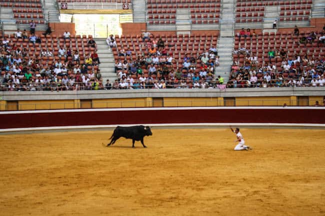 recortadores bullfighting spain