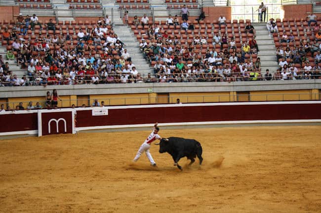 recortadores bullfighting spain