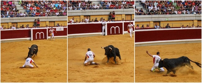 recortadores bullfighting spain