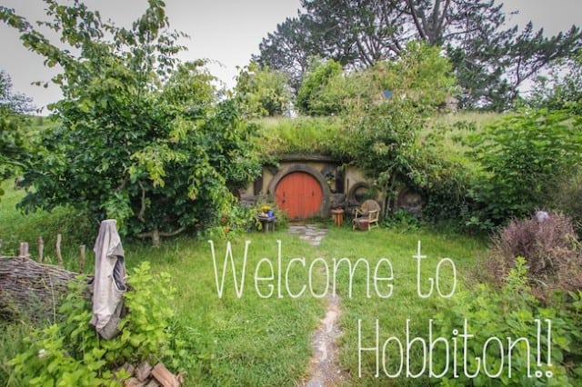 visit hobbiton new zealand