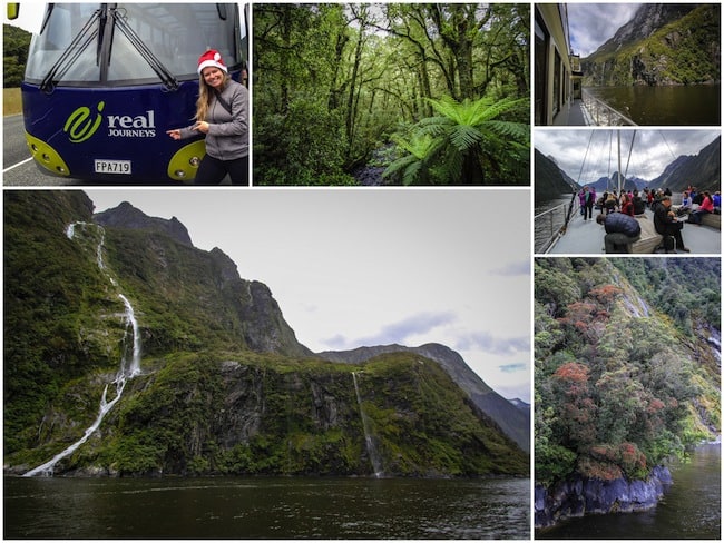 milford sound cruise