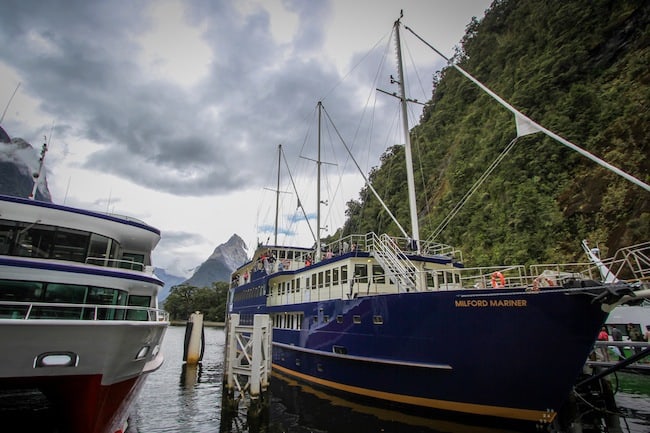 milford sound cruise