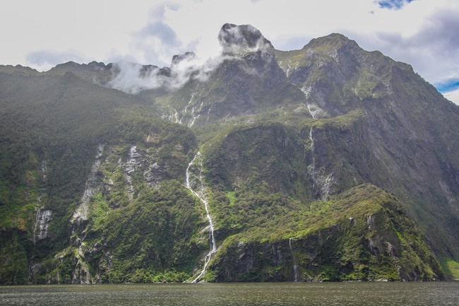 milford sound cruise