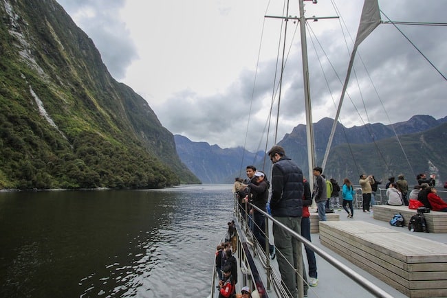 milford sound cruise