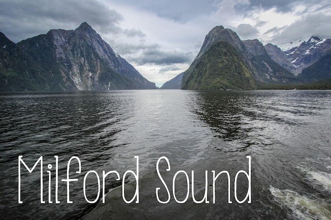 milford sound cruise