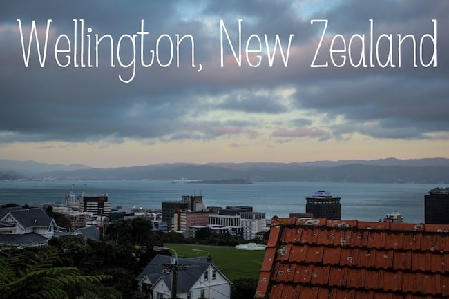 wellington new zealand visit