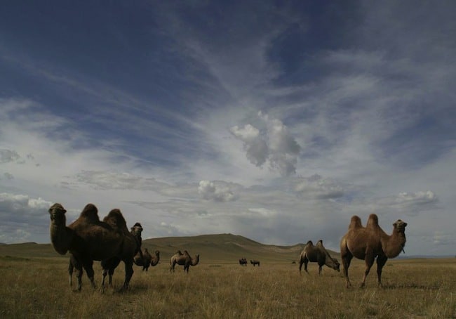 Mongolia travel