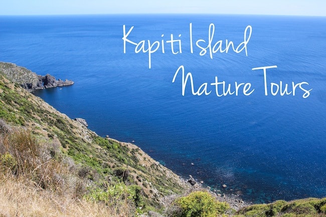 kapiti island visit