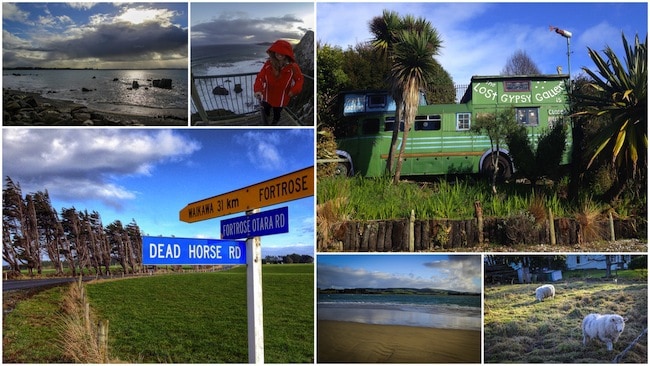 the catlins new zealand