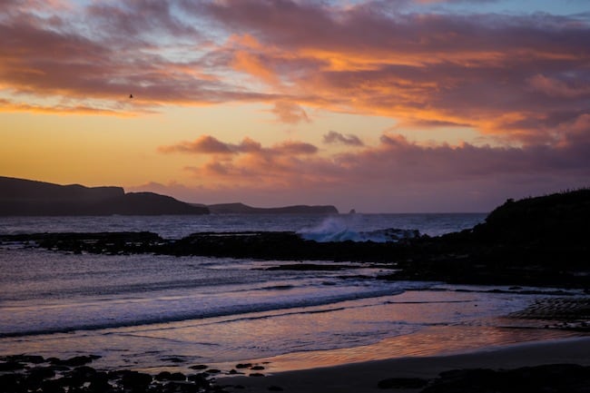 the catlins new zealand