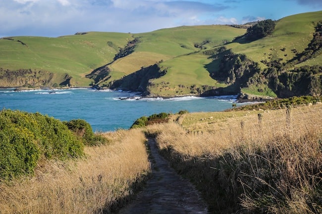 the catlins new zealand