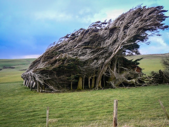 the catlins new zealand