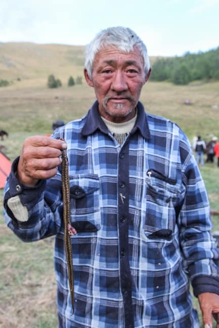 mongolia kazakh altai