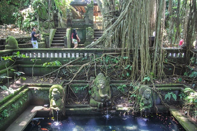 bali green travel