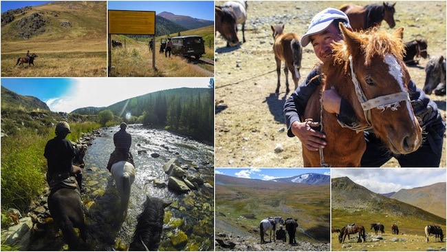 mongolia horse trek