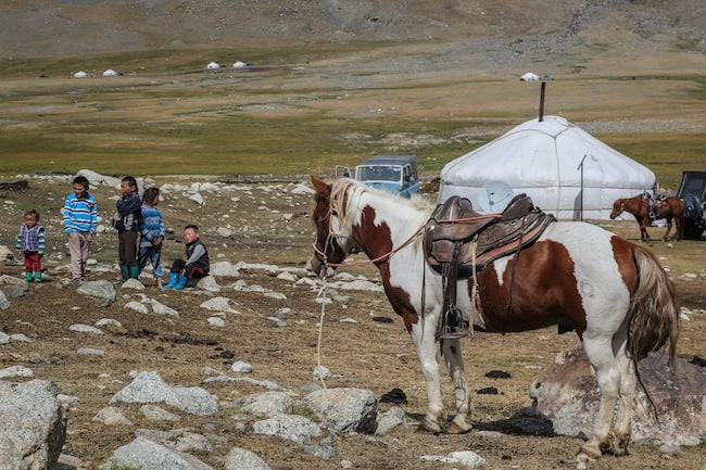 mongolia horse trek