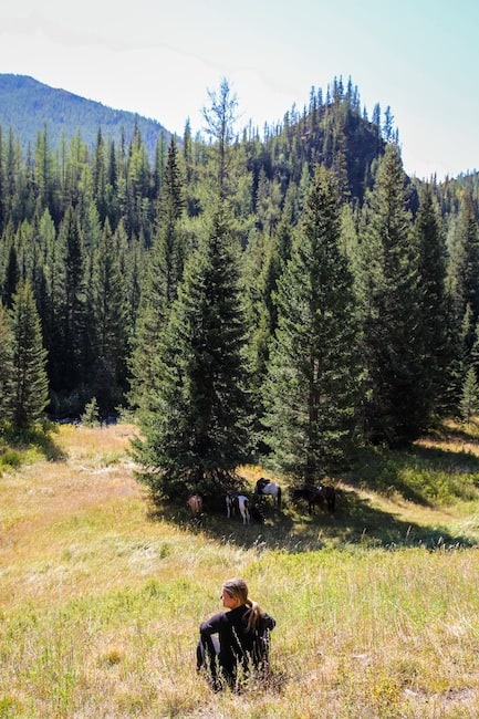 mongolia horse trek