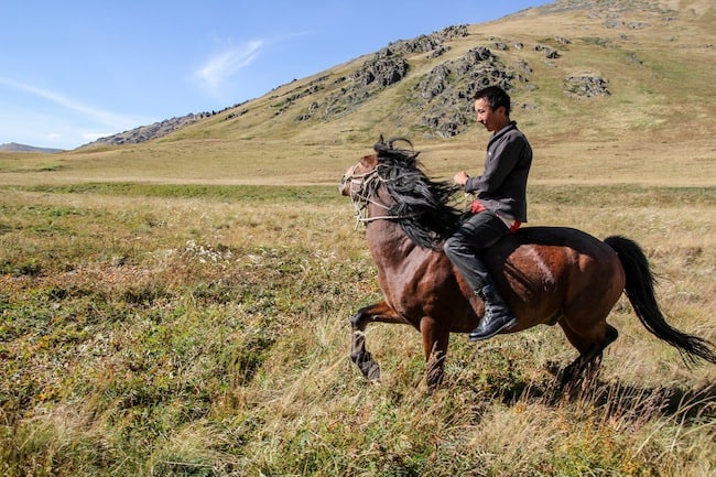 mongolia horse trek