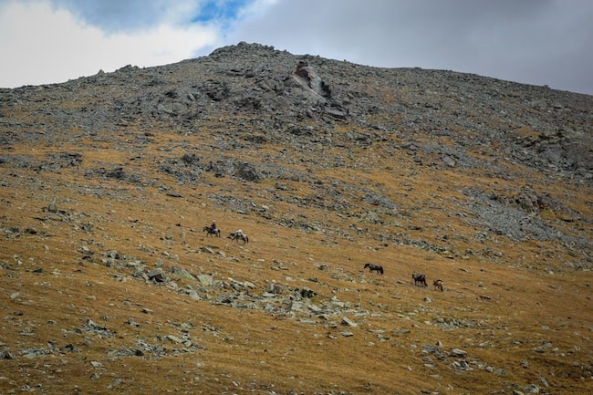 mongolia horse trek