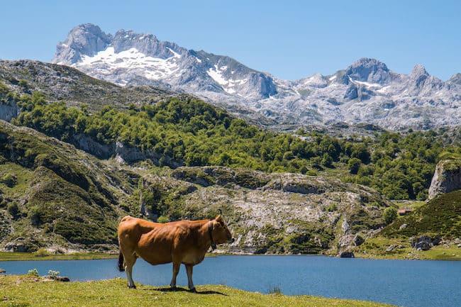 visit asturias spain