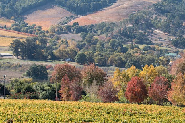 Stellenbosch South Africa