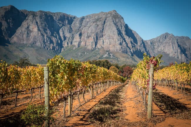 Stellenbosch South Africa