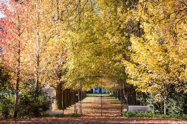 Stellenbosch South Africa