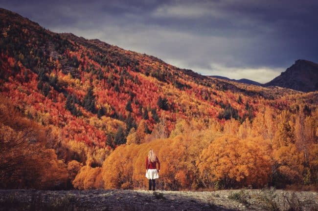 Autumn new zealand