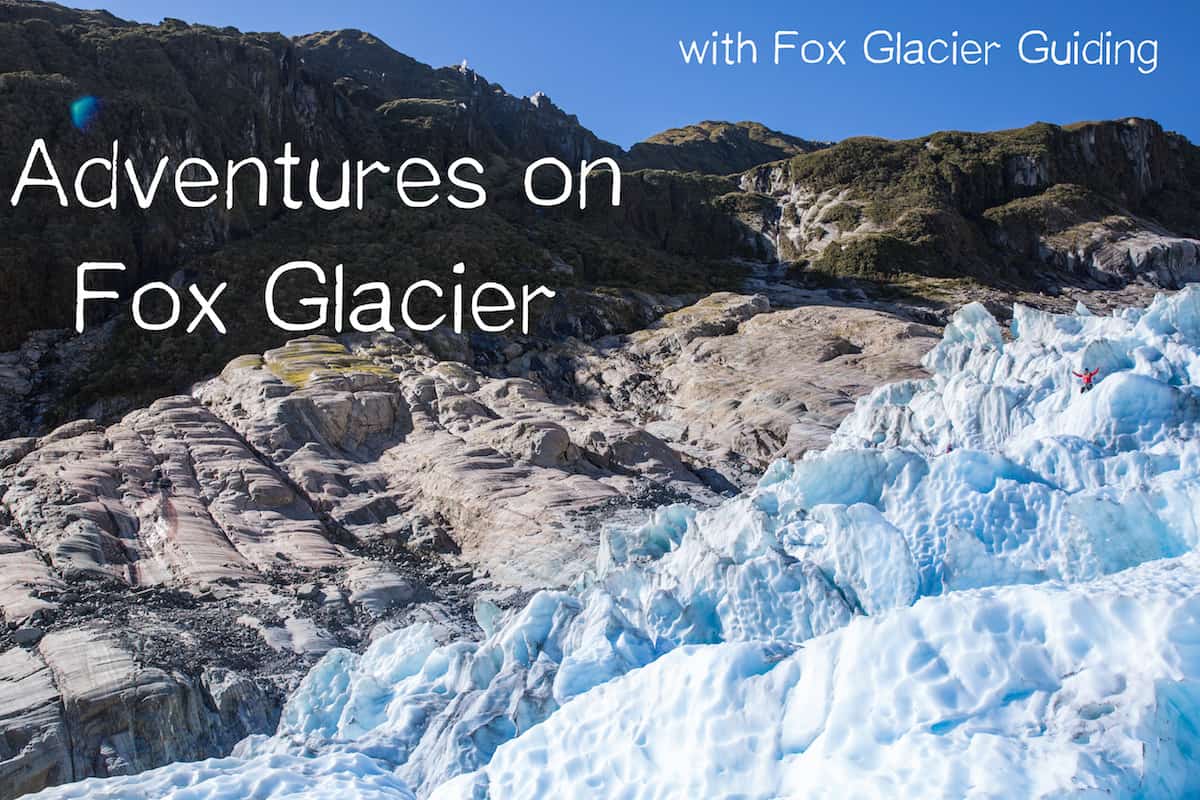 fox glacier heli hike