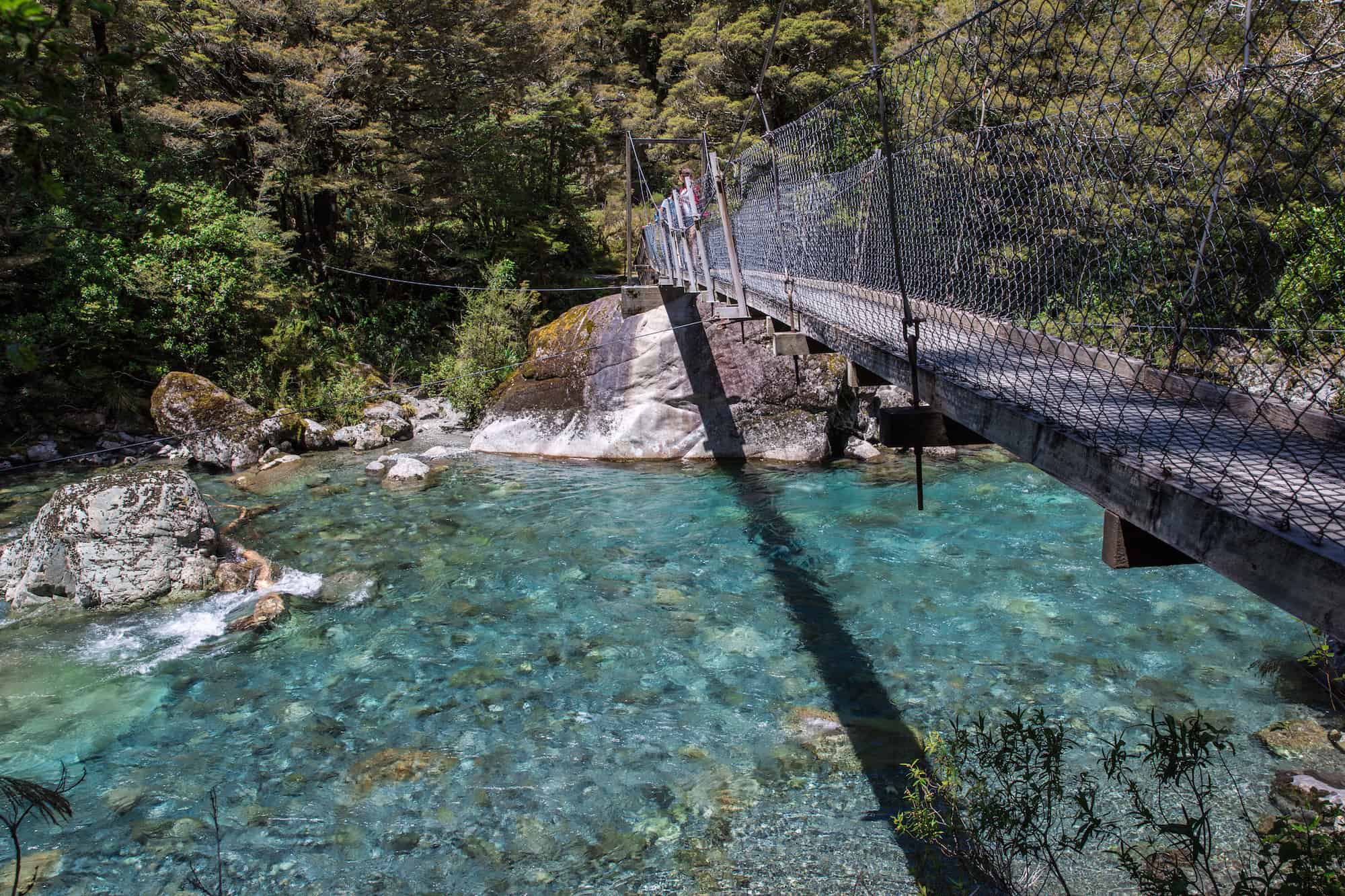 Traverc 0O6A0579-copy My top 16 things to do in Fiordland for an unforgettable adventure  