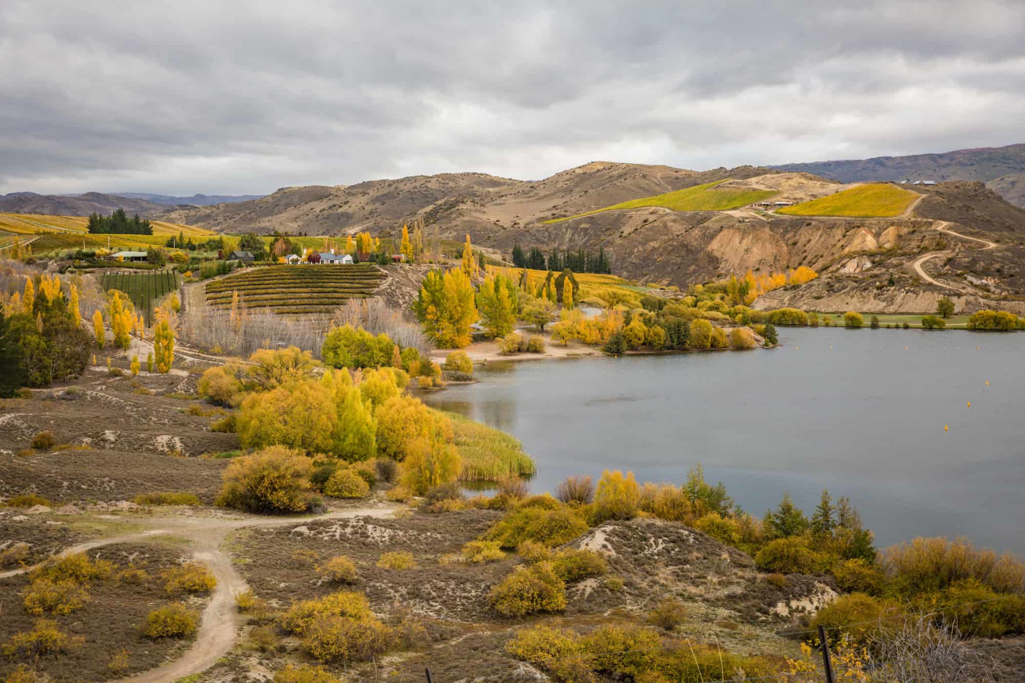 central otago autumn