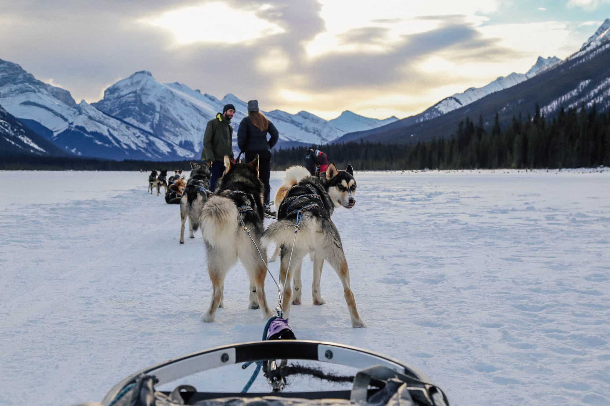 visit canmore canada