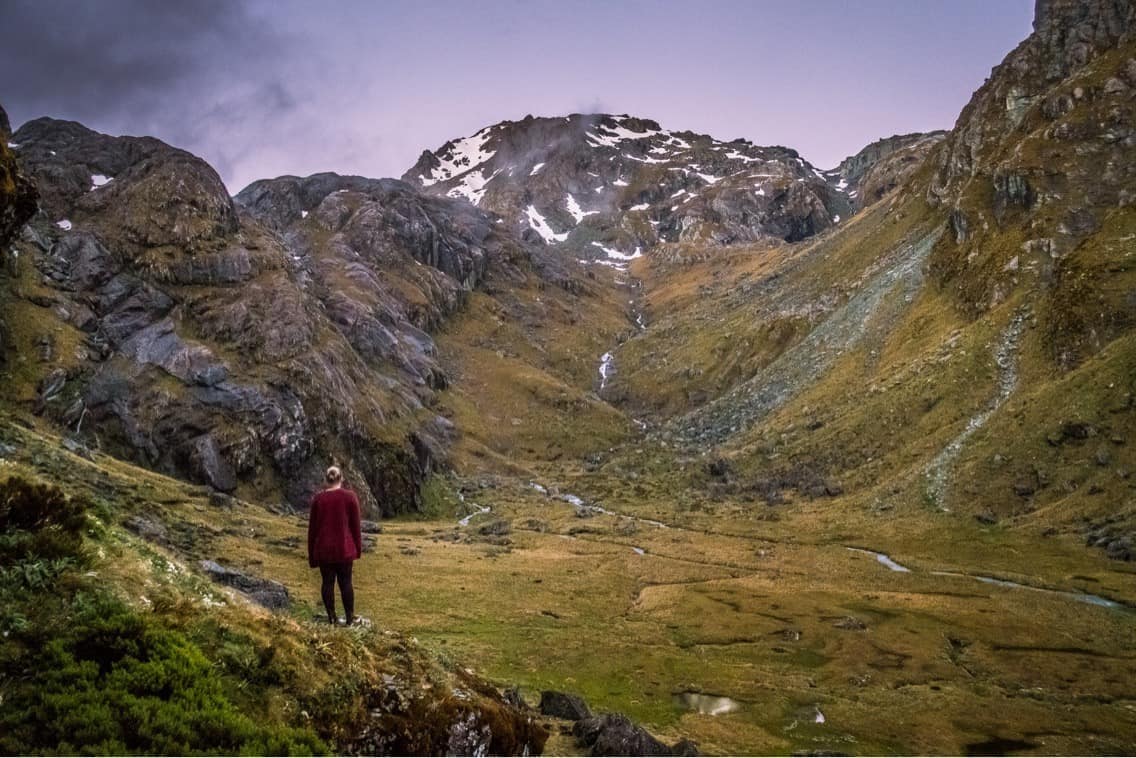 travel Fiordland