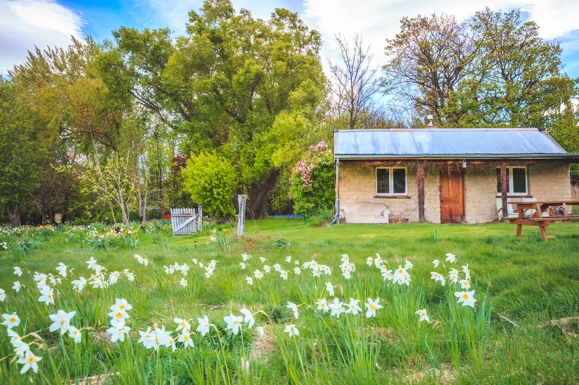 spring new zealand