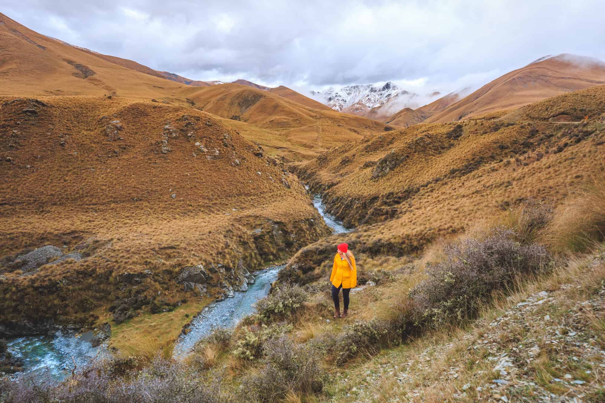 spring new zealand