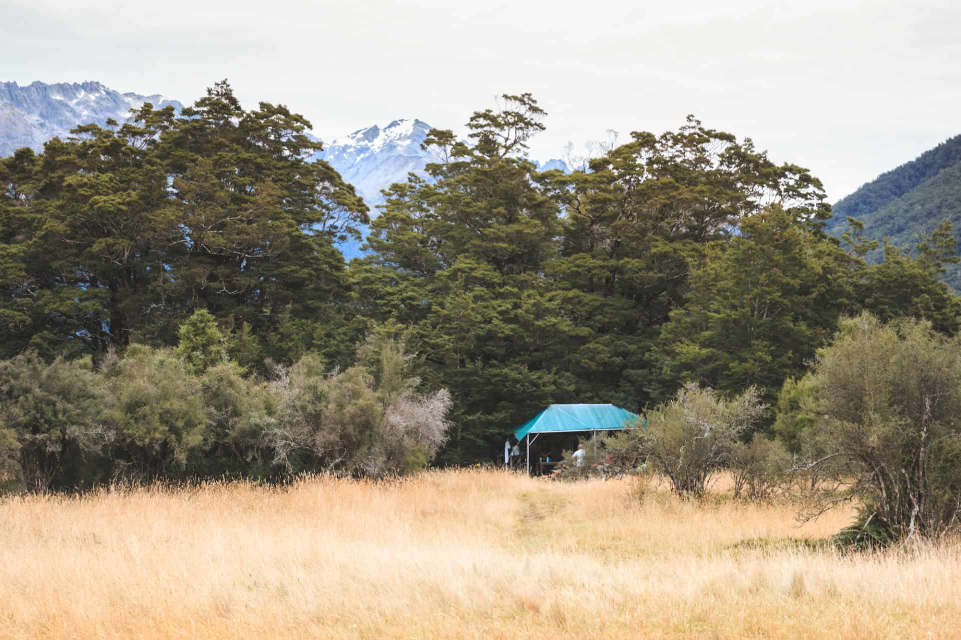 Rafting the Landsborough River - one of New Zealand's greatest ...