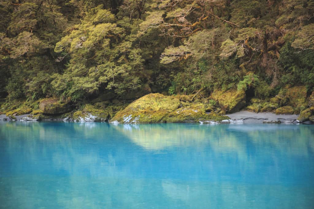 Rafting the Landsborough River - one of New Zealand's greatest ...