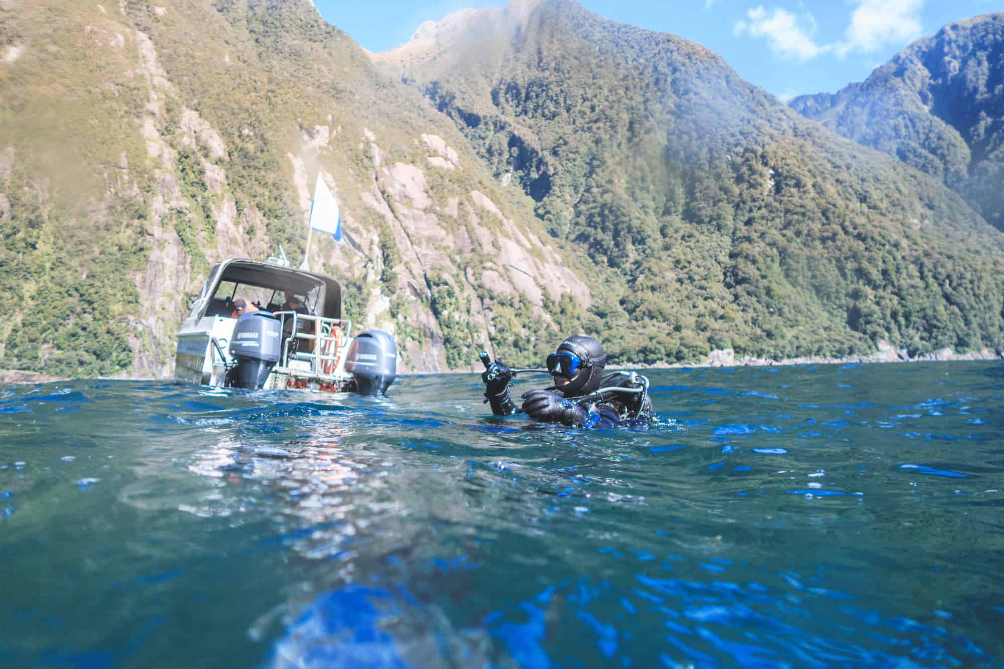 diving milford sound