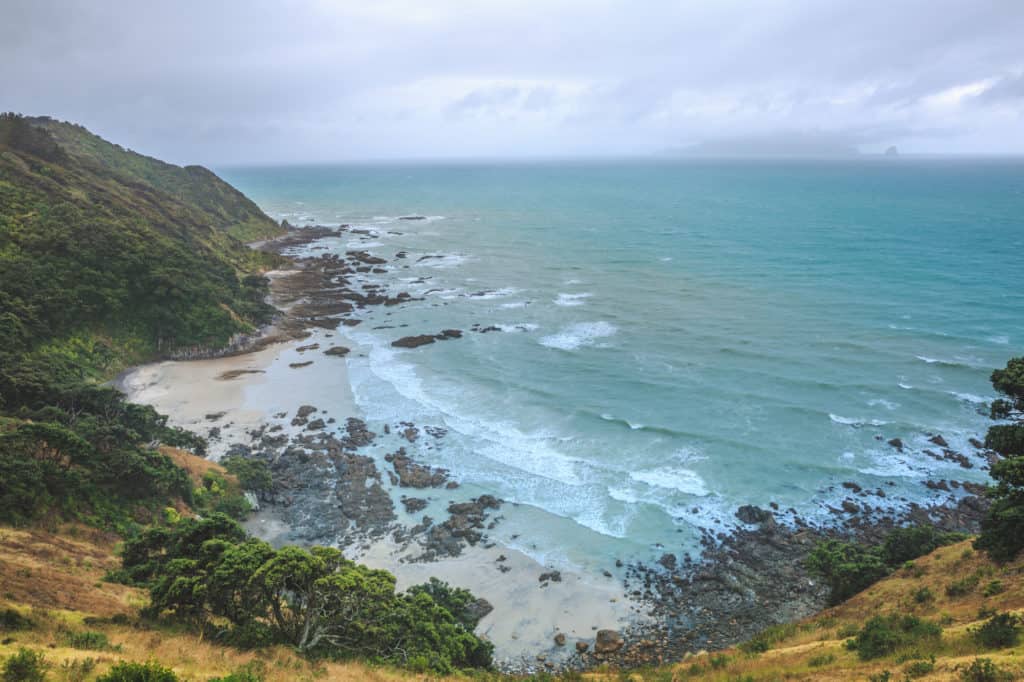 14 of the best short walks in New Zealand that will blow you away ...