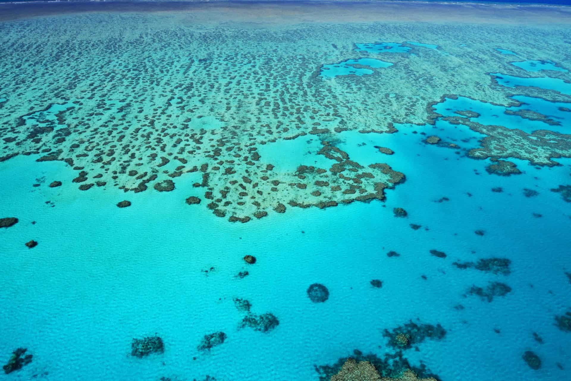 The best natural wonders of the Whitsunday Islands - Young Adventuress