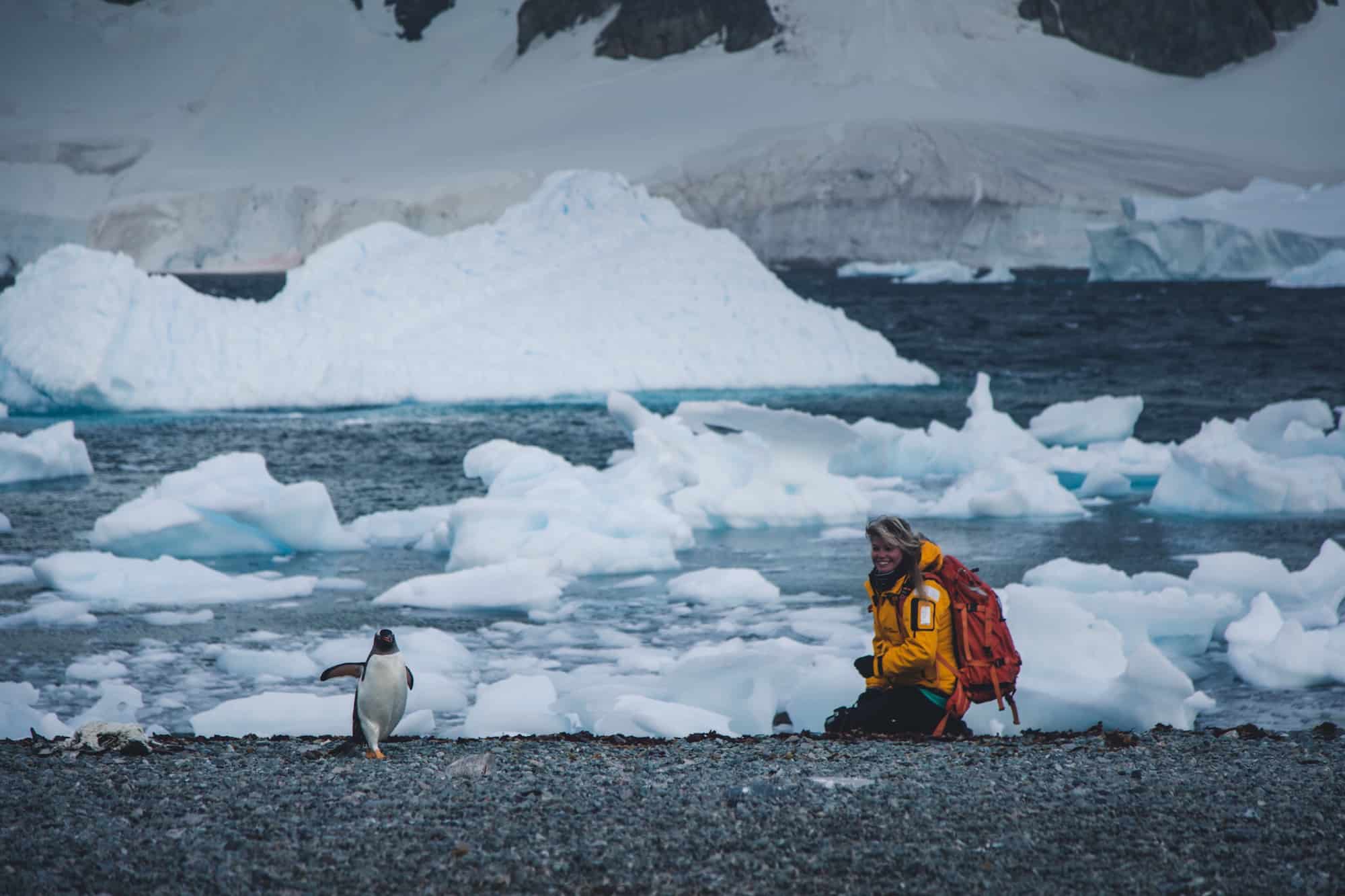 penguins of Antarctica