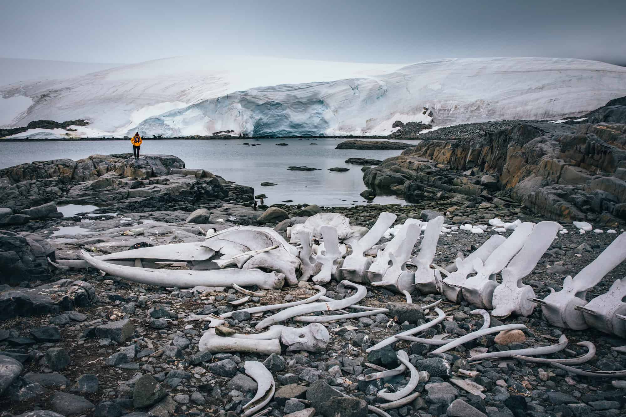 Antarctica is life-changing